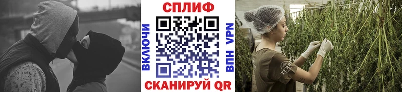 Какие есть наркотики Покачи Альфа ПВП  Кокаин  Гашиш  гидра tor  Бошки Шишки 