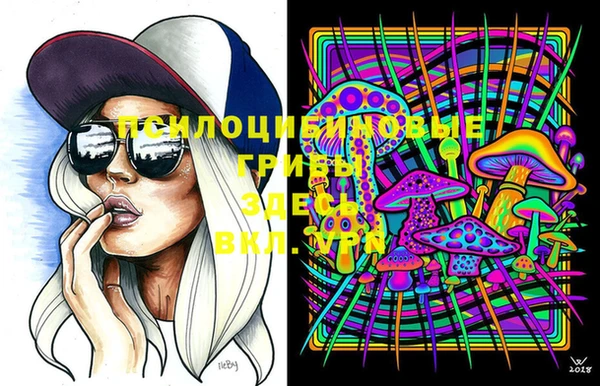 спайс Вязьма