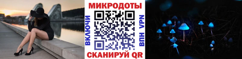 Галлюциногенные грибы Psilocybe  Покачи 