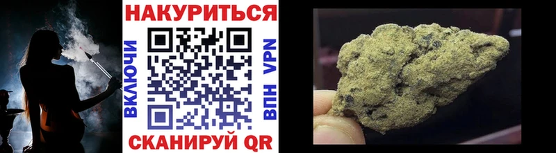 Конопля гибрид  Покачи 
